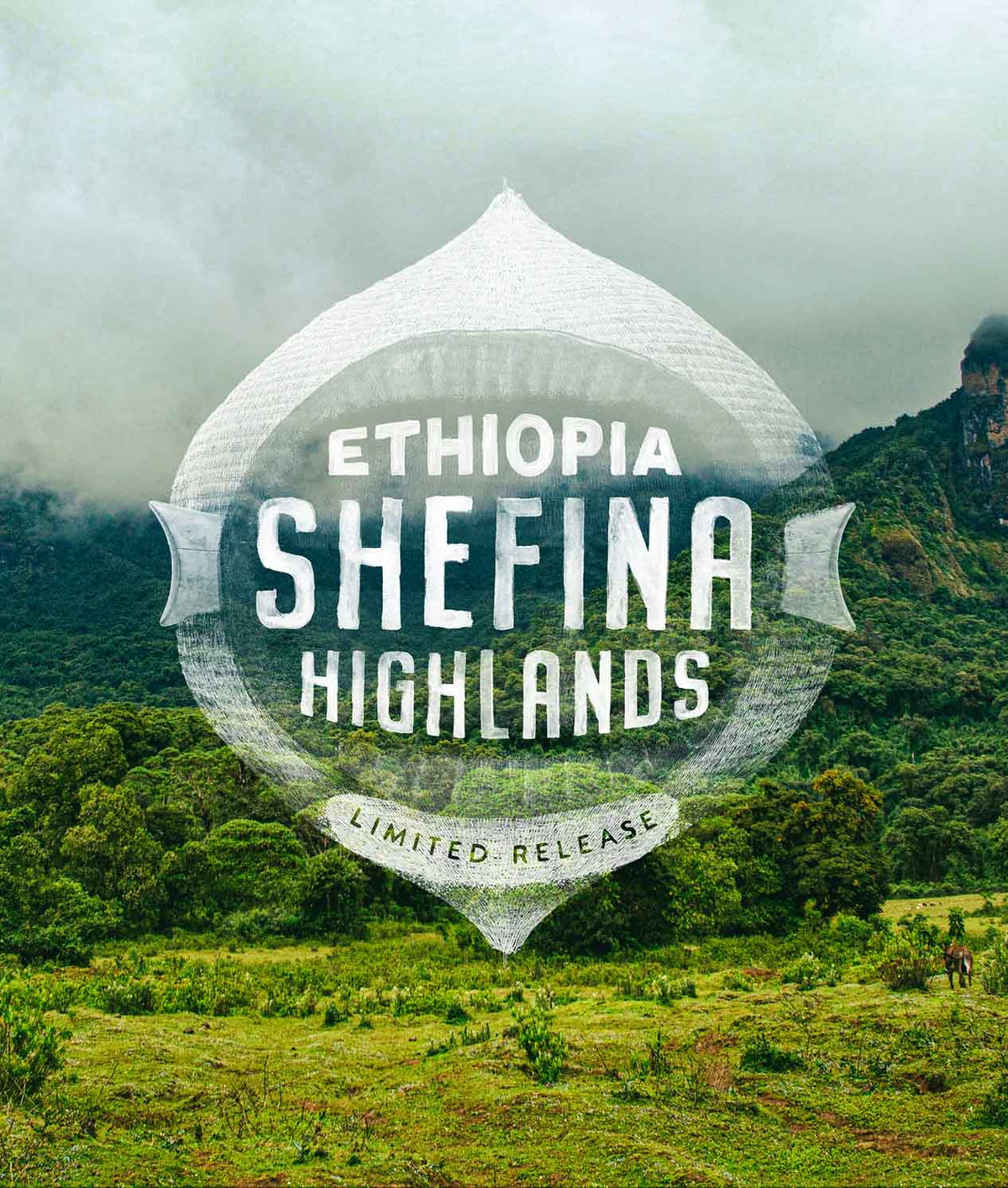 Ethiopia Shefina Highlands