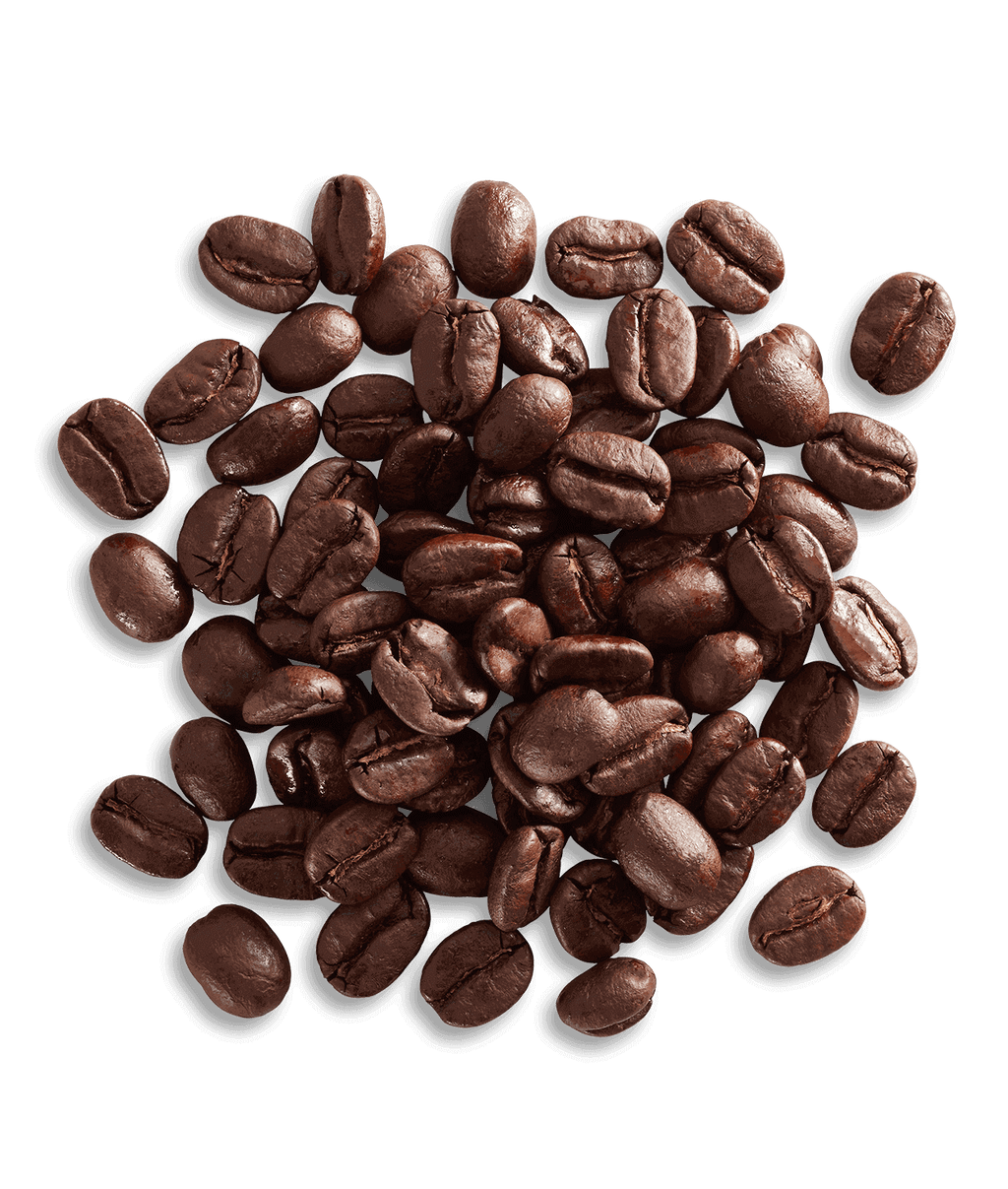 Nicaragua Angelina Estate